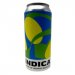 Indica Amor de Verano Sour Ale 473 ml 