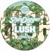 SHINDIGGER BEER CO Lush (E-KEG SANKEY) 5.0% 