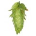 Lúpulo Cascade Hopsteiner x 5 Kg 