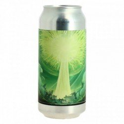 GROS FICUS 44CL West Coast bière IPA - Calais Vins