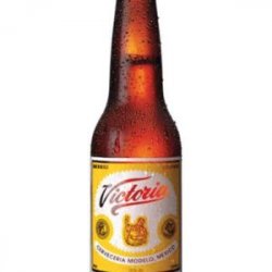 Victoria Mexican Lager 2412 oz bottles - Beverages2u