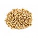 Coriander Seed (100g) 