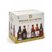 VAN STEEN BELGIAN TASTERS VARIETY PACK 11oz 6PK BOTTLES 