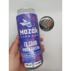 Mazák Sour rybíz švestka 13° 5,5% 0,5l - Pivní lednice