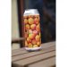 Obora Philadelphia Sour Apricot 0,5l  Sour Ale w Apricots 