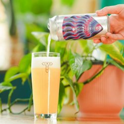 Track - Dawn (The Seed Collab - WTTN #2) DIPA 8% - Prost Bottle Shop