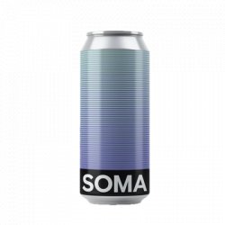 SOMA Two Left Hands India Pale Ale 44cl - Beer Sapiens