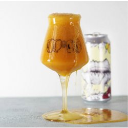 THE CRAFT DIARIES. HOP HEAD 42cl TEKU GLASS - The Beer Shelf