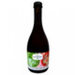 Beachwood Blendery Coolship Chaos with Pinot Noir Grapes - Holiday Wine Cellar