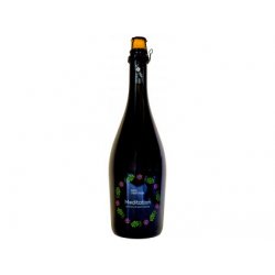 Wild Creatures Meditation