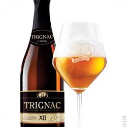 Kasteel Trignac XII