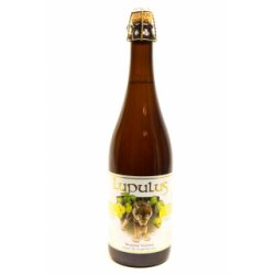 Lupulus Blonde