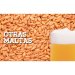 OTRAS MALTAS Best Oat Malt (2.5  4 EBC) 
