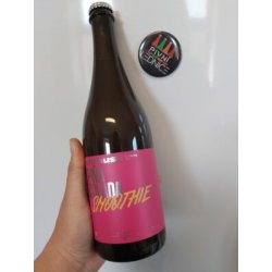 Chroust Piña Colada Smoothie 15°4,5% 0,7l - Pivní lednice