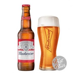 Bia Budweiser Nhập 5% – Chai 330 ml – Thùng 24 Chai - First Beer – Bia Nhập Khẩu Giá Sỉ