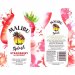 Malibu Splash Strawberry & Coconut 