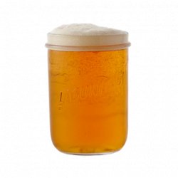 Lagunitas 300ml Glass - The Beer Cellar