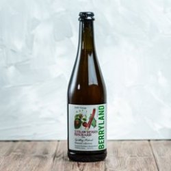 Berryland Strawberry Rhubarb Sparkling Melomel - Beerfreak