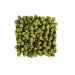 Lúpulo Centennial Indie Hops x 100 grs 