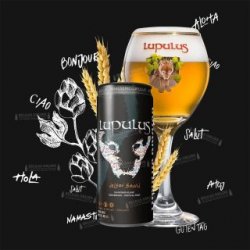 Brasserie Lupulus Lupulus Dry Hop Nelson Sauvin