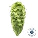 Lúpulo Simcoe Cryo Hops x 454 grs Yakima Chiefs Lúpulo Simcoe Cryo Hops x 454 grs Yakima Chiefs