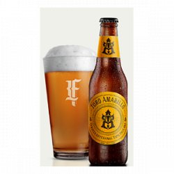 CERVEZA TORO AMARILLO - BOTELLA - TicoBirra