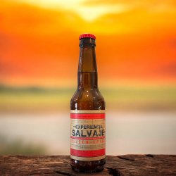 MICA EXPERIENCIA SALVAJE PILSEN SPICY BOTELLA 330 ML. - Hidden Beers