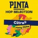 Pinta Hop Selection Citra 0,5l  Hazy Double IPA 