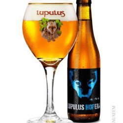 Lupulus Hopera 6,0% 33 cl - Trappist.dk - Skjold Burne