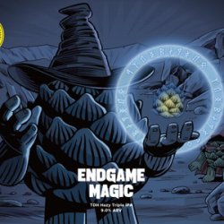 West Coast Brewing Endgame Magic - Beer Force
