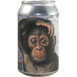 Goede Kant van het Spoor Monday Chimpanzee