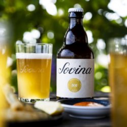 Sovina 500 Alentejo Gose Lager - Cerveja Artesanal