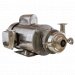 34 HP Washdown Motor Pump 