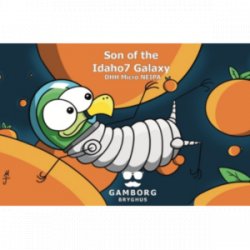 Gamborg Bryghus Son of the Idaho7 Galaxy - ØL2GO