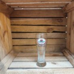 Dampegheest  Weizen Glas - Bierwinkel Alkmaar