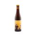 ST Bernardus Pater Cerveza Artesanal 
