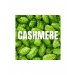 Cashmere 125g 