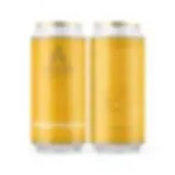 Session Pale Ale - Antur Brew Co. - Welsh Bottle Shop