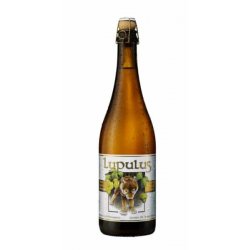 Lupulus Blonde 8.5% Vol. 75cl MW Flasche Belgien - Pepillo