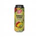 Funky Fluid - Mango & Kiwi Sour Ale 