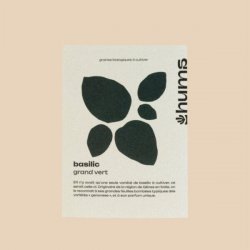 Basilic grand vert  Hums - Super by dot
