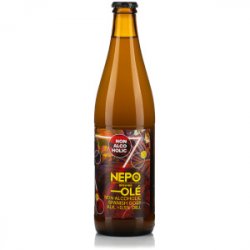 NEPOMUCEN OLE Spanish Gose 0% - Sklep Impuls