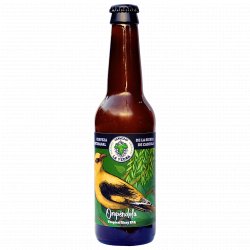 Oropéndola - Tropical Hazy IPA - Cervezas La Yedra - Cervezas La Yedra