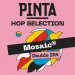 Pinta Hop Selection Mosaic 0,5l  Double IPA 