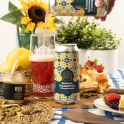 Vault City Brewing Baklava Drizzleberry Cheesecake Vault City Brewing Baklava Drizzleberry Cheesecake