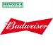 Budweiser - Lager - 4.3% ABV Budweiser - Lager - 4.3% ABV