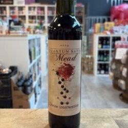 Quantum Satis Divine Intervention 2024