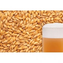 MALTA AHUMADA BESTMALZ - Insumos Cerveceros de Occidente