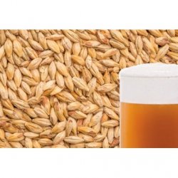 MALTA BISCUIT BESTMALZ - Insumos Cerveceros de Occidente
