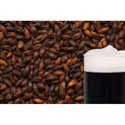 MALTA BLACK MALT EXTRA BESTMALZ - Insumos Cerveceros de Occidente